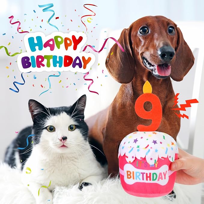 Dansydaisy Dog Birthday Cake Toy Squeaky Plush Toy for Girl Boy Gifts, Chew Accessories for Dog Birthday Party Decor Favor for Large, Medium and Small Dogs(9th,Pink)