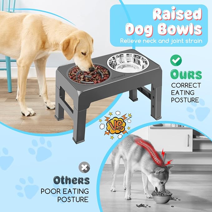 URPOWER Raised Dog Bowls 4 Height Adjustable Elevated Bowl Stand | Stainless Steel Water Bowl Non-Slip Dog Food Bowls Stand for Small Medium Large Dogs and Pets