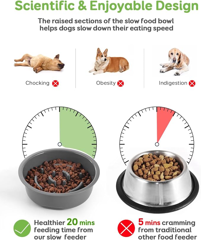35oz Elevated Slow Feeder Dog Food Bowls with Adjustable Stand | 3 Heights (6.1", 7.7", 9.3"), Raised Dog Bowls for Medium and Small Breed Dogs Cats, Non Slip Rubber & Mess Proof