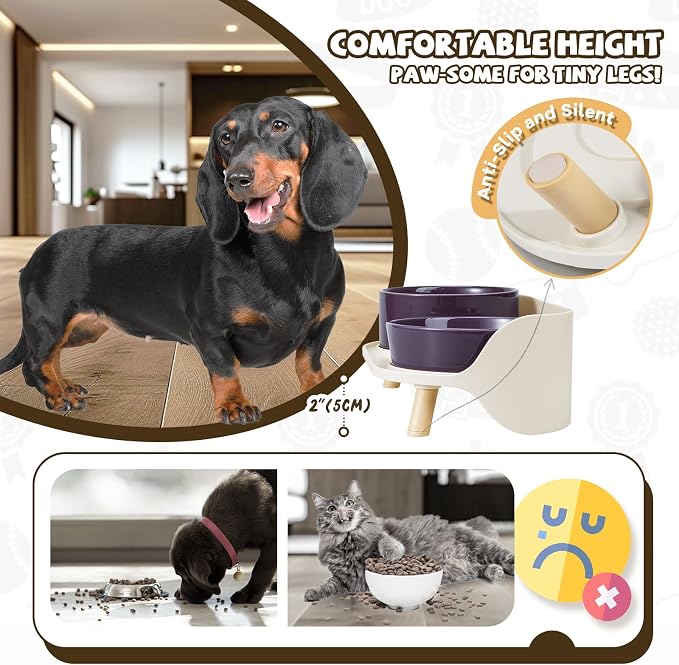 Raised Dog Feeder Bowl Stand (Without Bowls), Fits Dish up to Φ 6" | Spill Proof Elevated Dog Food Stand, Double 3 Diameters Pet Food Holder for Small and Medium Breeds and Cats, Grey