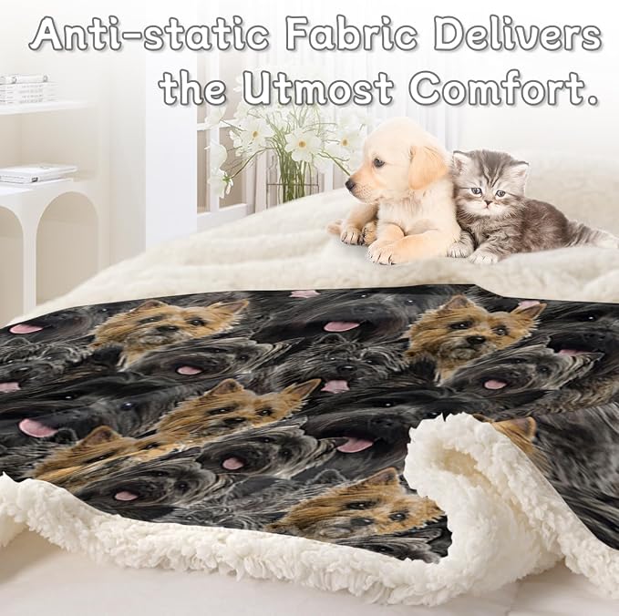 BlessLiving Fuzzy Dogs Blanket for Kids Adults Cute Puppy Fleece Blanket Reversible Animal Pattern Sherpa Throw (Cairn Terrier,Throw, 50 x 60 Inches)