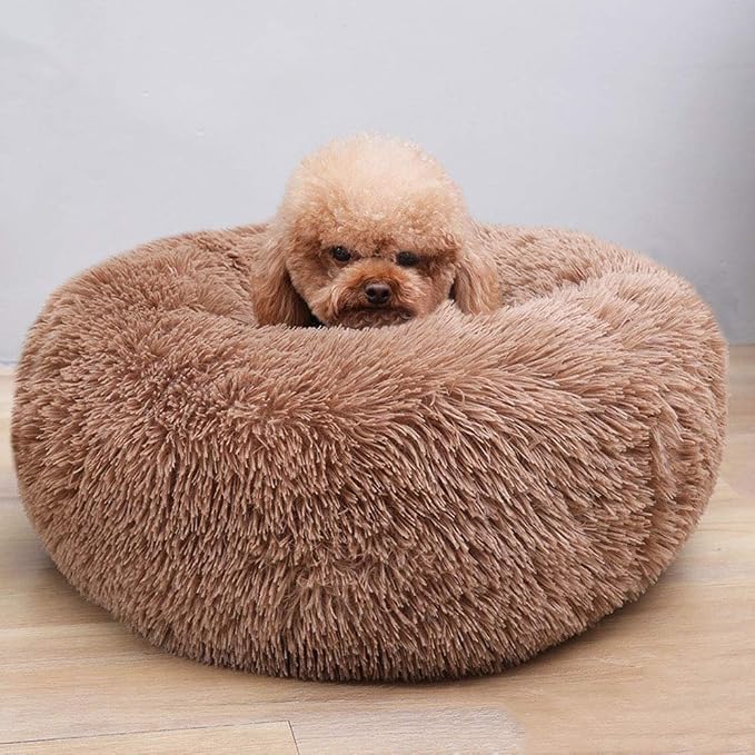 Modern Soft Plush Round Pet Bed for Cats or Small Dogs, Mini Medium Sized Dog Cat Bed Self Warming Autumn Winter Indoor Snooze Sleeping Cozy Kitty Teddy Kennel (20'' D x 8'' H, Coffee)