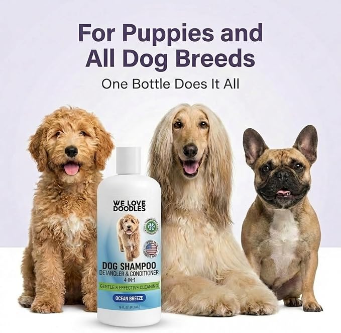 Dog Shampoo, Conditioner & Detangler, Gentle Tearless, Ocean Breeze, 16OZ | For Sensitive Itchy Skin, Hypoallergenic, Best For Smelly Dogs, Goldendoodle, Poodle & Doodle, Puppy Pet Wash, USA Made, 4in1