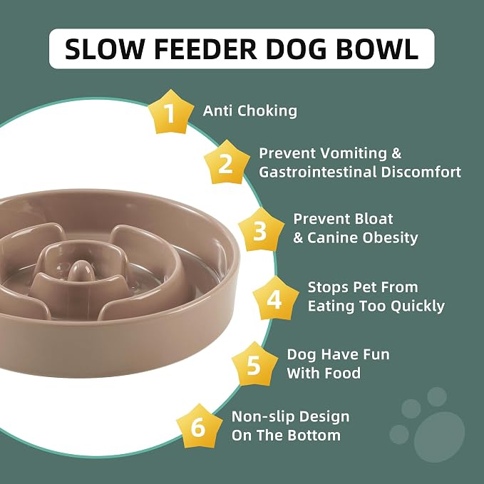 Havniva Ceramic Slow Feeder Dog Bowls, 3.2 Cups Dog Bowl Slow Feeding for Medium and Large Breed, 9.5inch Puzzle Dog Food Bowl Slow Feeder Non-Slip Anti-Gulping and Anti-Choking Reduces Bloating
