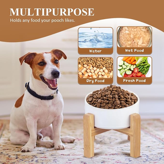 Ceramic Elevated Dog Bowl with Bamboo Stand, for Small & Medium Dog, Grey