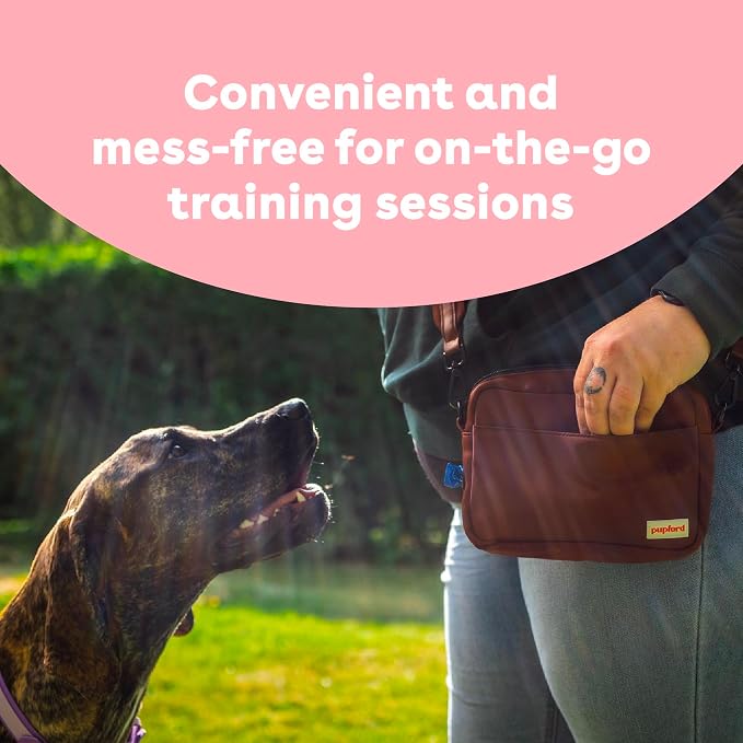 Pupford Freeze Dried Dog & Puppy Training Treats (Salmon, 4 oz, 3 Pack) | 1400+ treats, Ultra low-calorie, Only 2 ingredients, All breed sizes, Mess free and bite sized, Trainer recommended