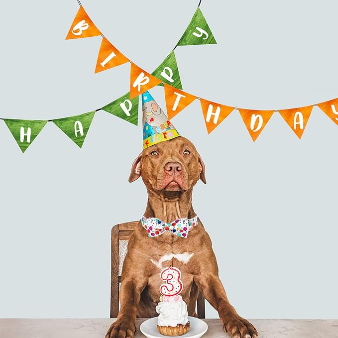 ·MR. CHUBBYFACE· Ballon Dog Collar with Bowtie, Cute Birthday Balloon Dog Collar with Metal Buckle, Adjustable Pet Collar for Small Medium Large Dogs