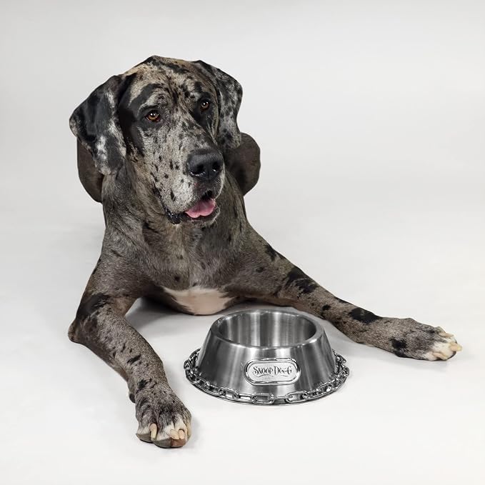 Snoop Doggie Doggs Off The Chain Deluxe Pet Bowl