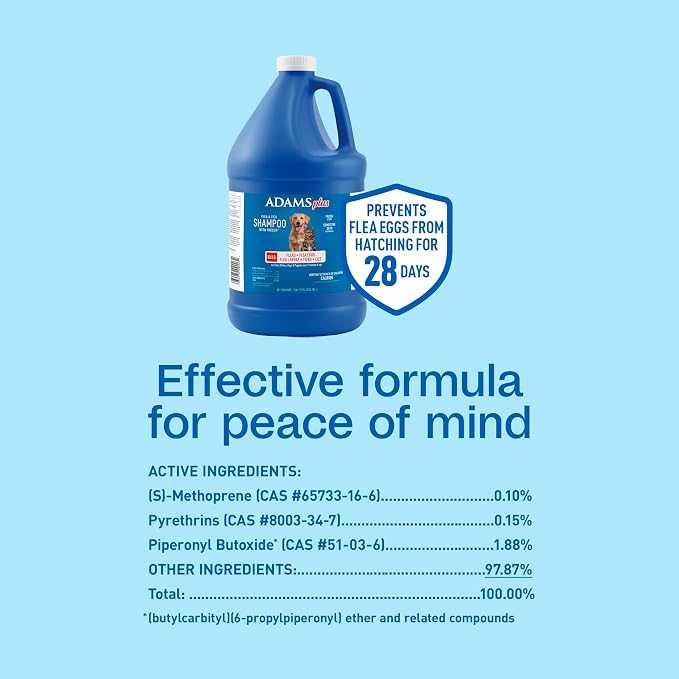 ADAMS Plus Flea & Tick Shampoo with Precor for Dogs, Cats, Puppies & Kittens, Flea Shampoo to Treat Infestations, Kills Ticks, Fleas, Flea Eggs & Lice, Cleans and Conditions Coat, 1 Gallon