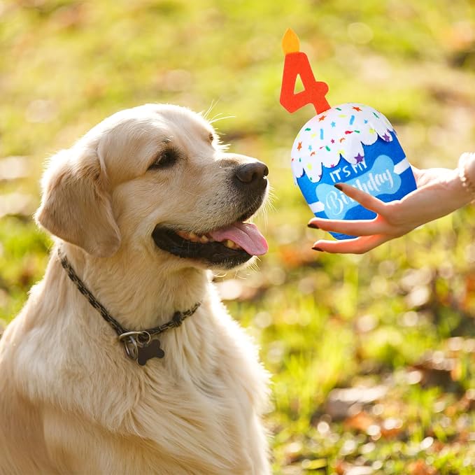 Dansydaisy Dog Birthday Cake Toy Squeaky Plush Toy for Girl Boy Gifts, Chew Accessories for Dog Birthday Party Decor Favor for Large, Medium and Small Dogs(4th,Blue)