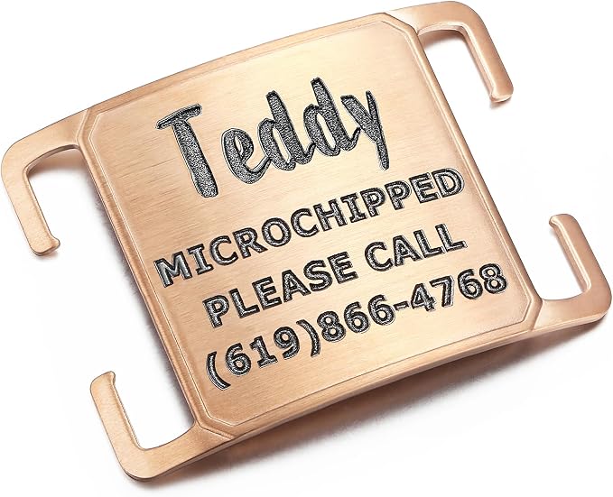 Rugged & Refined: Immovable Slide-On Pet ID Tag - Silent No-Noise Design - Deep Laser Engraved Horology-Grade Steel - Extra Large | PVD Rose Gold