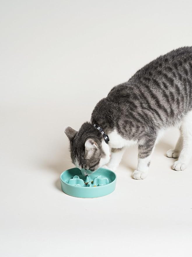 Ceramic Slow Feeder Dog Bowls Small Breed, 0.5 Cups Dog Food Dish for Fast Eaters, Puzzle Bowl for Small Dogs and Cats, 5.5 Inch-Turquoise