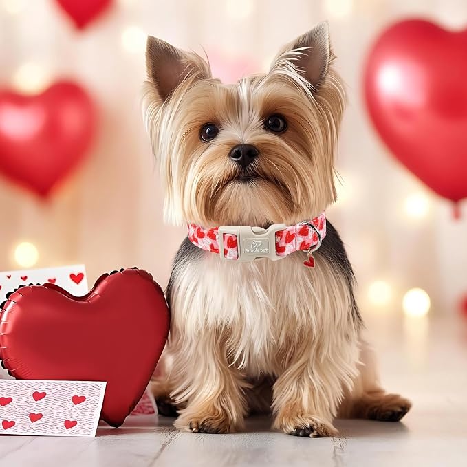 Valentines Dog Collar for Puppy Small Dogs - Cute Pink Girl Dog Collar, Doodle Heart Pattern, Adjustable Valentine Dog Collars with Red Heart Charm XS