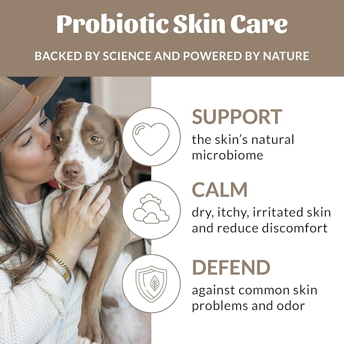 SKOUT'S HONOR Probiotic Dog Shampoo and Conditioner - DOTW, 16 oz, 2-Pack | Natural 2-in-1 for Itchy Skin, Microbiome-Friendly with Avocado Oil & Omega-3s, Paraben & Sulfate-Free