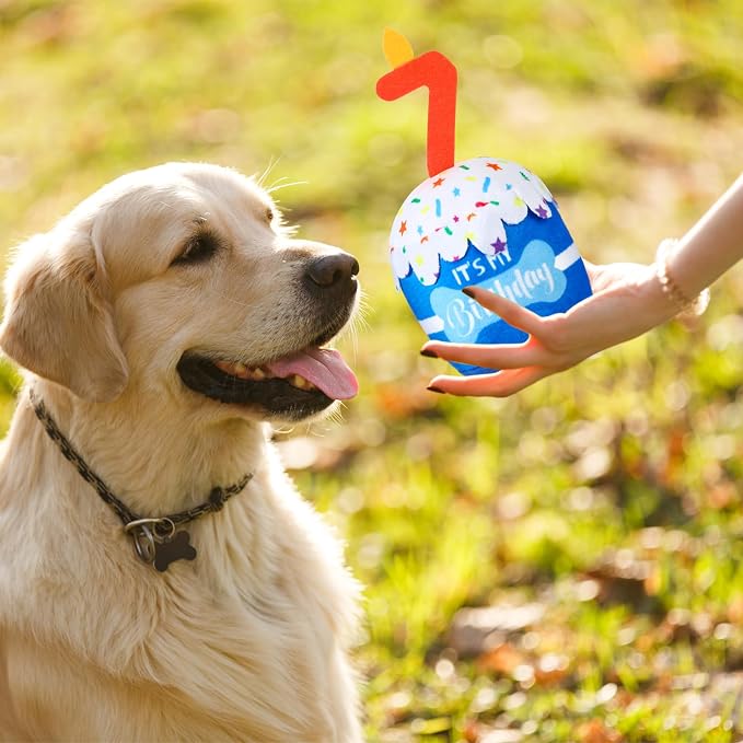 Dansydaisy Dog Birthday Cake Toy Squeaky Plush Toy for Girl Boy Gifts, Chew Accessories for Dog Birthday Party Decor Favor for Large, Medium and Small Dogs(7th,Blue)