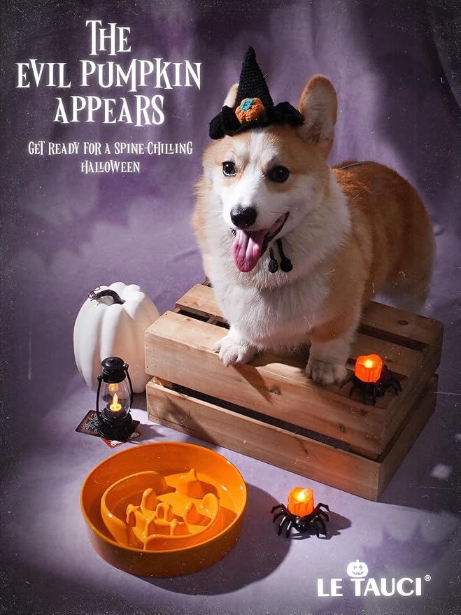 LE TAUCI Ceramic Slow Feeder Dog Bowl for Medium & Large Dogs, 3 Cup Puzzle Food Dish to Slow Down Eating, Pumpkin Orange