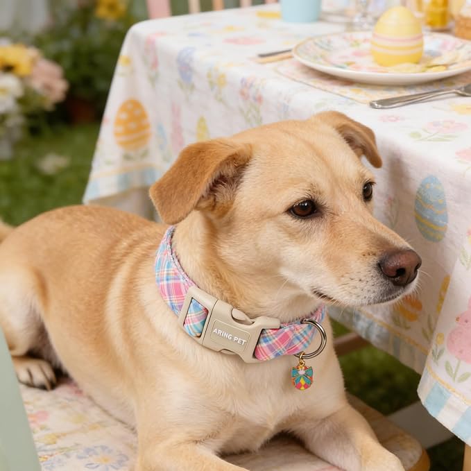 ARING PET Easter Dog Collar, Cute Colorful Plaid Stripe Girl Doggy Collars with Quick Release Buckle for Puppy Small Medium Large Dogs-L