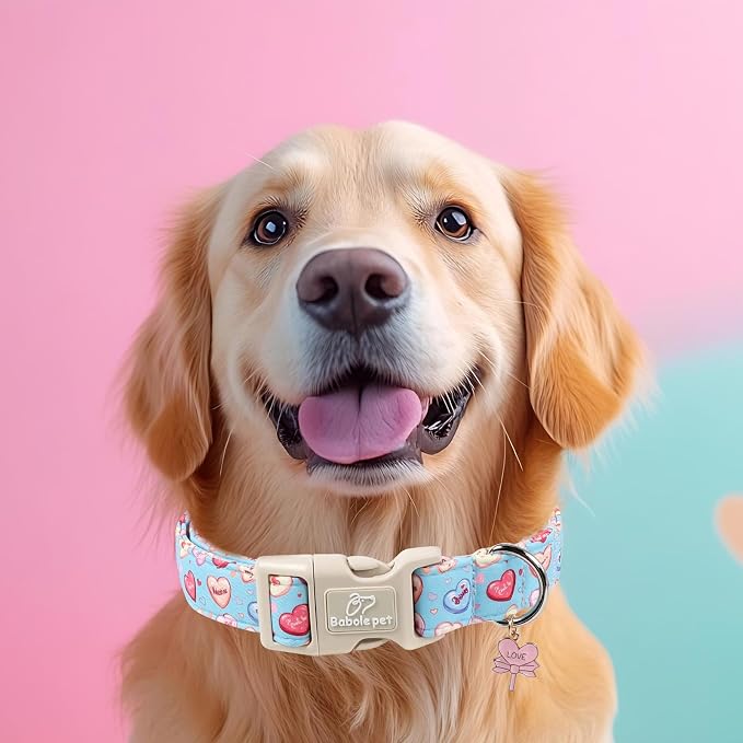 Valentines Dog Collar for Medium Dogs - Valentine Candy Hearts Dog Collars, Love Boy Girl Dogs Collars, Lightweight Adjustable Cute Blue Puppy Collar with Quick-Release Buckle M