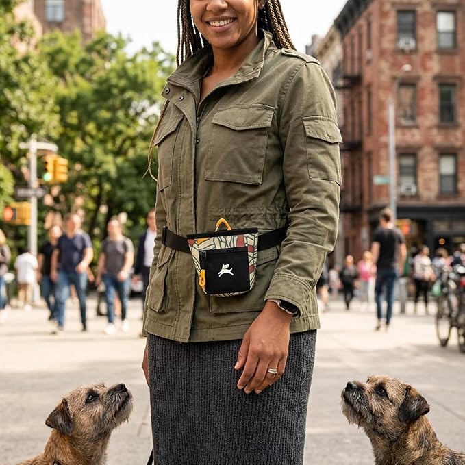Goodie Treat Bag, Dog Treat Training Pouch | Magnetic Closure | 3 Ways to Wear | Hands-Free Waist Belt | Water-Resistant Recycled Vegan Fabric (Fiori)
