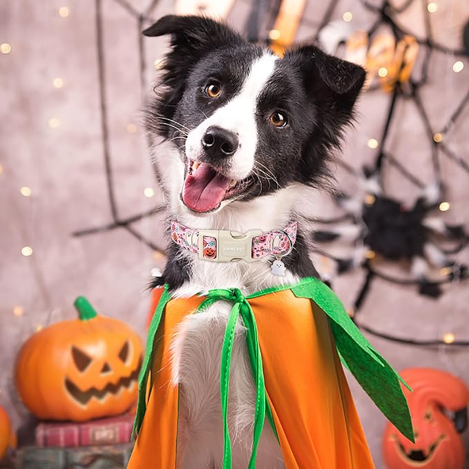 ARING PET Halloween Dog Collars, Cute Pink Pumpkin Ghost Flower Bowtie Pet Collar with Quick Release Buckle for Small Medium Large Girl Boy Dogs-S
