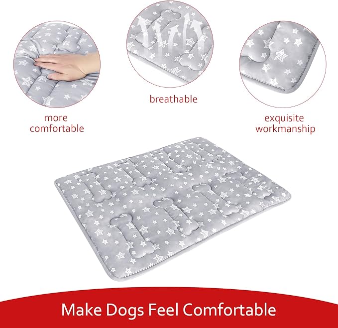 Dog Crate Mat (24" X 18"), Soft Dog Bed Pad Mat with Cute Prints | Personalized Crate Pad, Anti-Slip Bottom, Machine Washable Kennel Pad