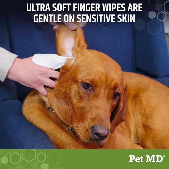 Pet MD Dog Ear Cleaning Wipes - with Eucalyptus & Aloe Vera for Dogs - 50ct | Extra-Coverage and Large Design - Alcohol-Free Pet Ear Cleaning Finger Wipes to Remove Dirt, Debris, and Wax