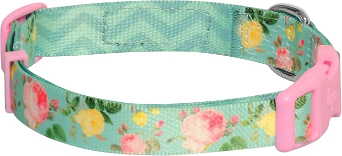 Blueberry Pet Mint Tropical Dog Collar, Adjustable Medium Size, Neck 14.5”-20”, Printed Pet Collar for Medium Dogs