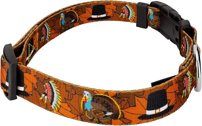 Country Brook Petz - Thanksgiving Tradition Everyday Dog Collar - Made in The U.S.A. - Awesome Autumn Collection Featuring Designs You Will Fall for (1 Inch, Large)