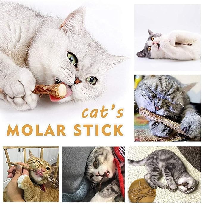 AILUKI 35PCS Cat Toys Variety Pack for Indoor Cats, Kitten Toys Set with Collapsible Cat Tunnel, Feather Wand, Plush Mice, Crinkle Balls & Interactive Cat Toys Bundle Storage Bag