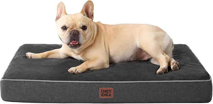 EHEYCIGA Medium Washable Dog Crate Mat Waterproof, 30x20Inch, Dark Grey | High Density Egg Crate Foam, Orthopedic Memory Foam, Removable Easy Clean Cover, Non-Slip Bottom, Fits Crate, Floor and Sofa