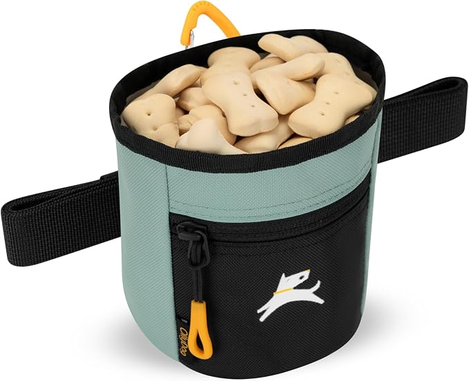 Goodie Treat Bag, Dog Treat Training Pouch | Magnetic Closure | 3 Ways to Wear | Hands-Free Waist Belt | Water-Resistant Recycled Vegan Fabric (Surf)