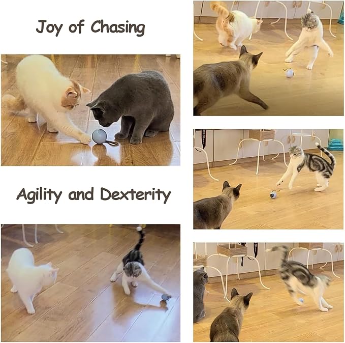 Migipaws Interactive Cat Ball Toy Set, Fun Tracker, Automatic Rolling Chase Ball with Fluffy Tail, A Small Mice, Rechargeable (White)