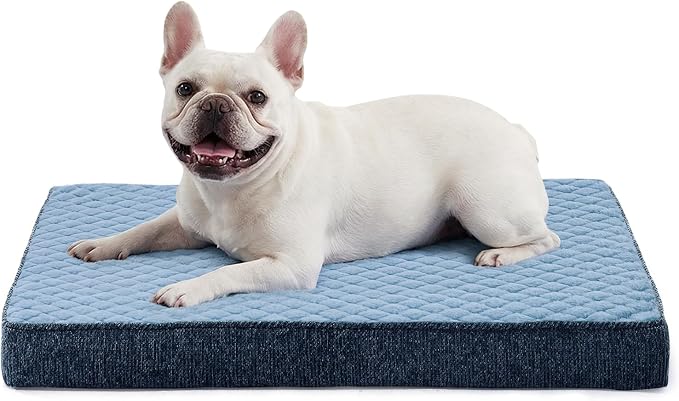 JOEJOY Orthopedic Dog Bed for Small Dogs, Washable Dog Crate Bed Small Sized with Removable Cover, Egg Memory Foam Pet Beds, Blue, 23"x17"
