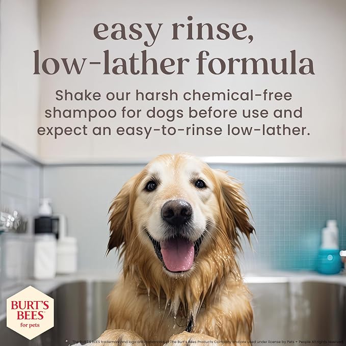 Burts Bees for Pets Manuka Honey 2-in-1 Shampoo and Conditioner, 16 Fl Oz | Jojoba oil formula, 2-in-1 shampoo and conditioner, 95% natural origin, sulfate-free