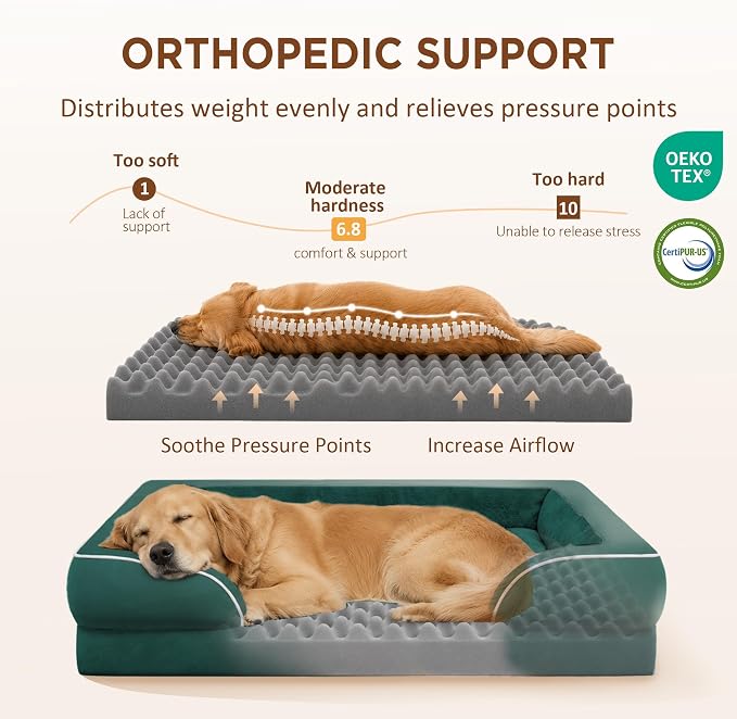 Comfort Expression Orthopedic Dog Bed for Medium Size Dog with Bolster | Waterproof Dog Couch Bed with Washable Cover & Non-Slip Bottom, Supportive Egg Crate Foam Medium Pet Bed, 28x19 Inch