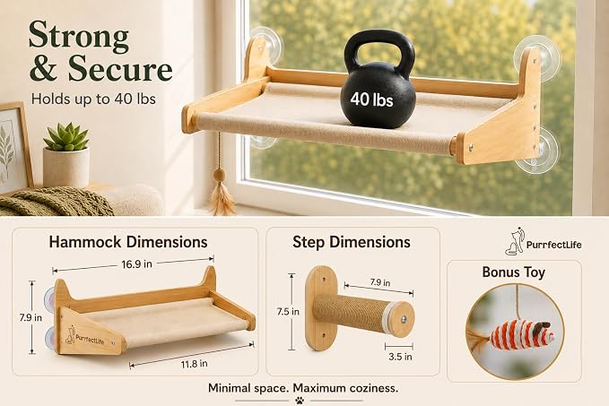 Cat Window Perch for Indoor Cats – 2-in-1 Solid Wood Cat Hammock Window Seat & Wall Mount with 9 Suction Cups, Climbing Steps + Hanging Toy – Supports 40 lbs, Bird Watching & Sunbathing