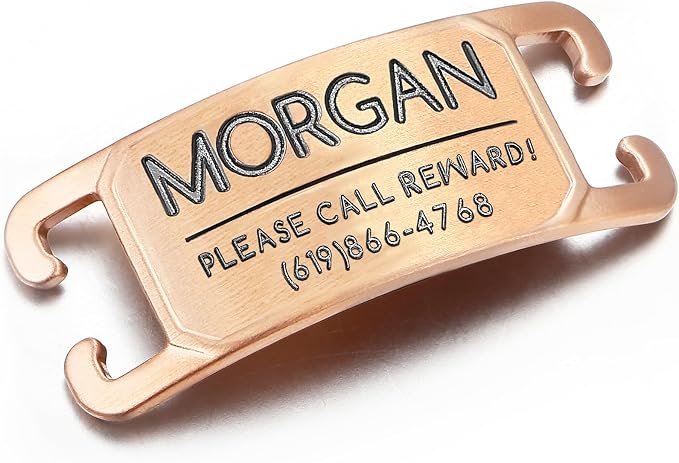 Rugged & Refined: Immovable Slide-On Pet ID Tag - Silent No-Noise Design - Deep Laser Engraved Horology-Grade Steel - Extra Small | PVD Rose Gold