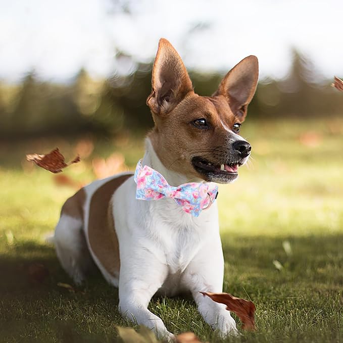 ·MR. CHUBBYFACE· Ink Style Flower Dog Collar with Bow Cute Brown Puppy Collar Bowtie Spring Girl Boy Dog Collars for Small Medium Large Dogs