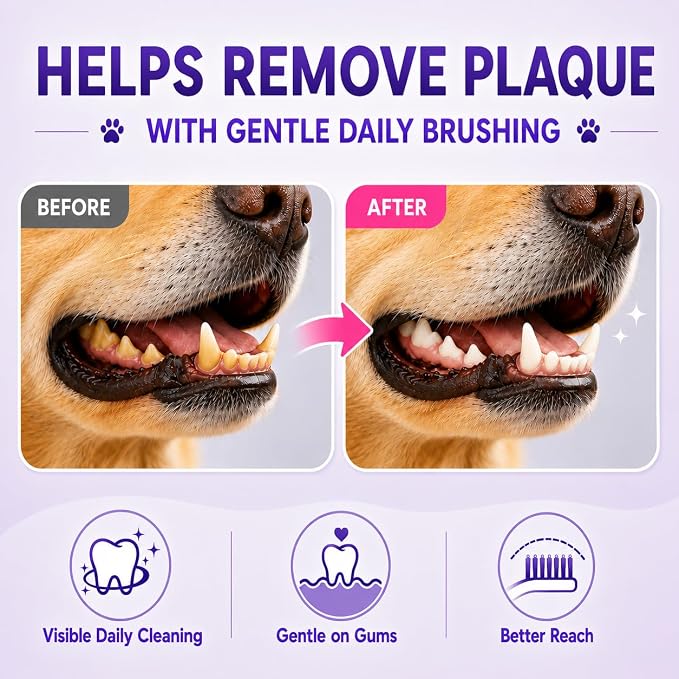 Dog Toothbrush, Dual-Head, for Medium-Large Dogs,Pink | Soft Bristles for Gentle Cleaning, 60° Curved Bristles for Better Coverage, Comfortable for Sensitive Gums