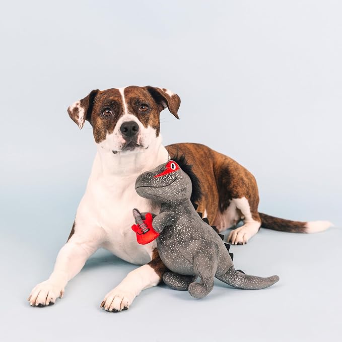 Fringe Studio Plush Dog Toy, Rocker Rex, Pet Shop Collection (314214)