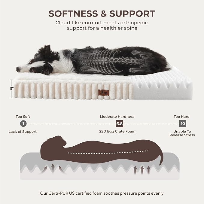 Dog Bed Large Sized for Crate, Orthopedic Pet Pad for Dogs with Removable Washable Cover, Waterproof Dogs Beds Up to 50 lbs, Soft Plush Surface & Egg Foam for Calming, 35x22x3 Inch, Cream