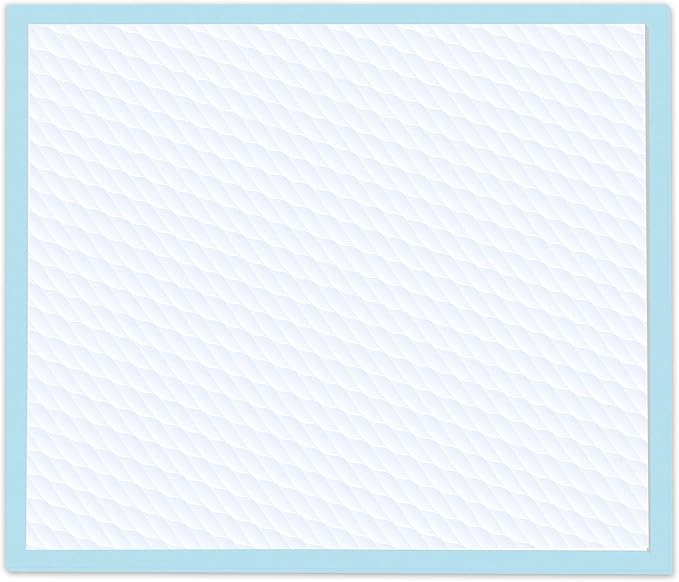 Four Paws Wee-Wee Superior Performance Unscented Puppy Pee Pads for Dogs & Puppies, Quilted Leak-Proof Dog Housebreaking Potty Training Floor Protection, Pet Supplies, 22" x 23", 10 Count