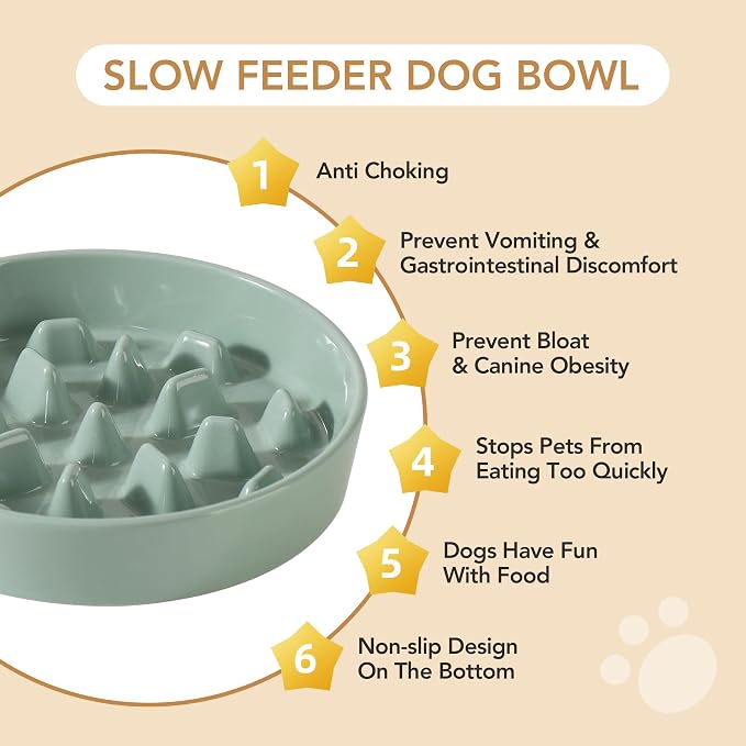 Havniva Ceramic Slow Feeder Dog Bowls, 3.2 Cups Dog Bowl Slow Feeding for Medium and Large Breed, 9.5inch Puzzle Dog Food Bowl Slow Feeder Non-Slip Anti-Gulping and Anti-Choking Reduces Bloating