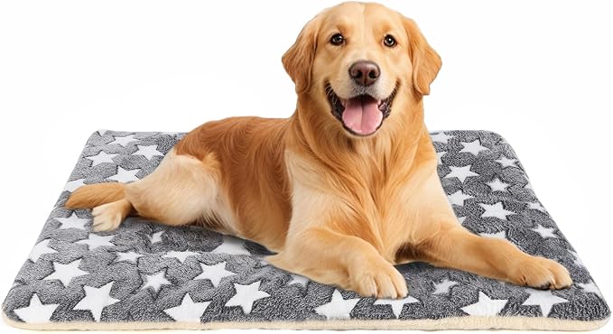 Dog Bed Pet mat Dog Box mat Machine Washable Grey (39x28x1.5in)