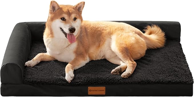 Patas Lague Orthopedic Medium Dog Bed Washable Pet Sofa Bed 30''X20''Black | 2-Sided Bolster Egg-Crate Foam Dog Couch Medium Size Dogs, Waterproof Removable Washable Cover, Nonskid Bottom Pet Crate Mat