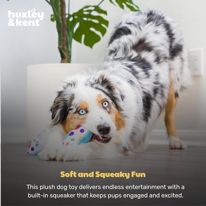 Huxley & Kent Funny Dog Toy w/Squeaker – Power Plush Squeaky Dog Toys for Small, Medium & Large Dogs – Soft Stuffed Animal for Indoor Play & Fetch - It's My Barkday Bone, Large