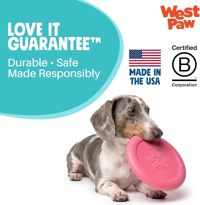 WEST PAW Zogoflex Zisc Dog Flying Disc, High Flying Aerodynamic Disc for Dogs Puppy – Lightweight, Floatable Disc for Fetch, Tug of War, Catch, Play – Doubles as Food/Water Bowl, Small 6.5", Teal