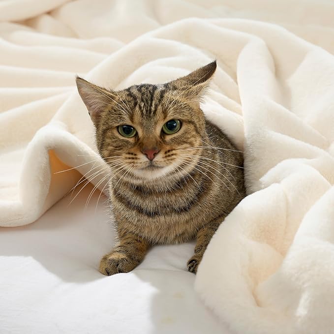 COZY KISS Waterproof Pet Blanket, Ultra Soft Luxury Faux Fur Throw Blanket for Couch, Cozy Warm Plush Blanket for Sofa Bedroom Living Room, Liquid Pee Proof for Large Dog or Cat, 30x40 inch, Cream