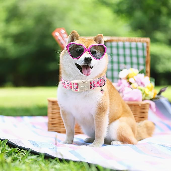 ARING PET Strawberry Dog Collar, Cute Spring Summer Pink Puppy Pet Collars for Small Medium Large Female Girl Dogs-XS