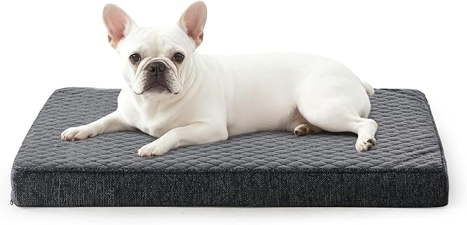 JOEJOY Orthopedic Dog Bed for Small Dogs, Washable Dog Crate Bed Small Sized with Removable Cover, Egg Memory Foam Pet Beds, Grey, 23"x17"